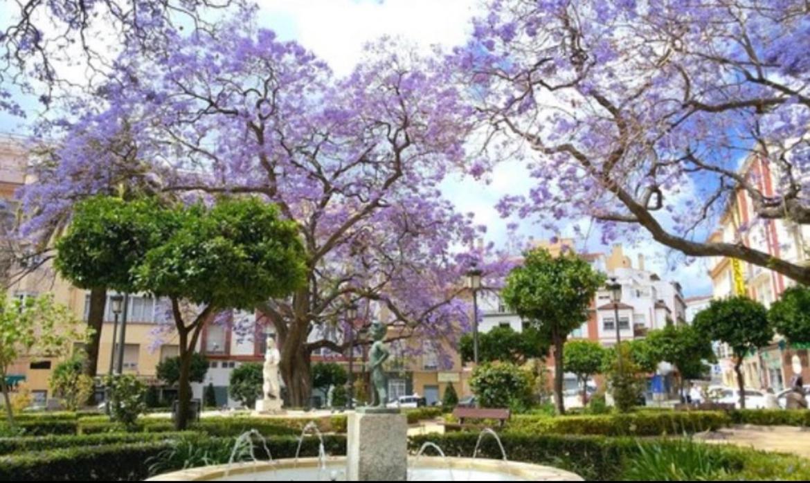 דירות מאלגה Historical Center Ollerias מראה חיצוני תמונה